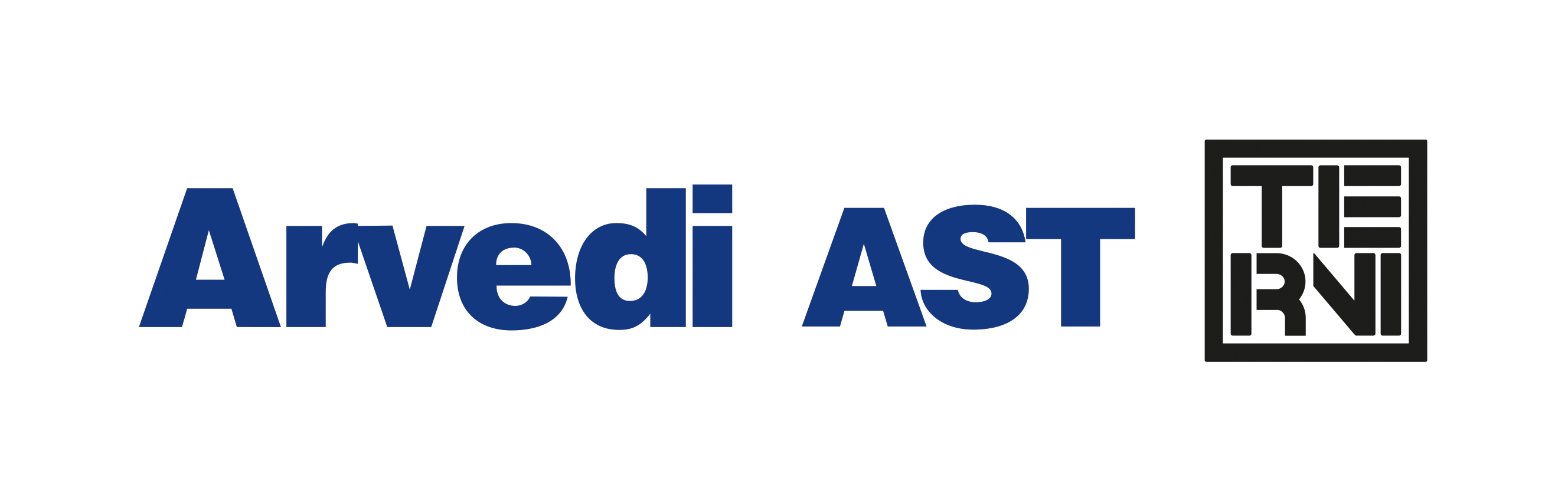 Arvedi Acciai Speciali Terni SpA logo