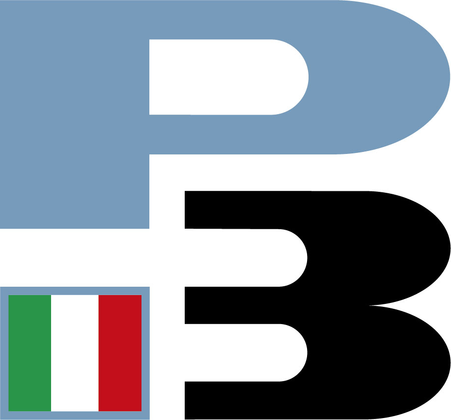 P3 Srl logo
