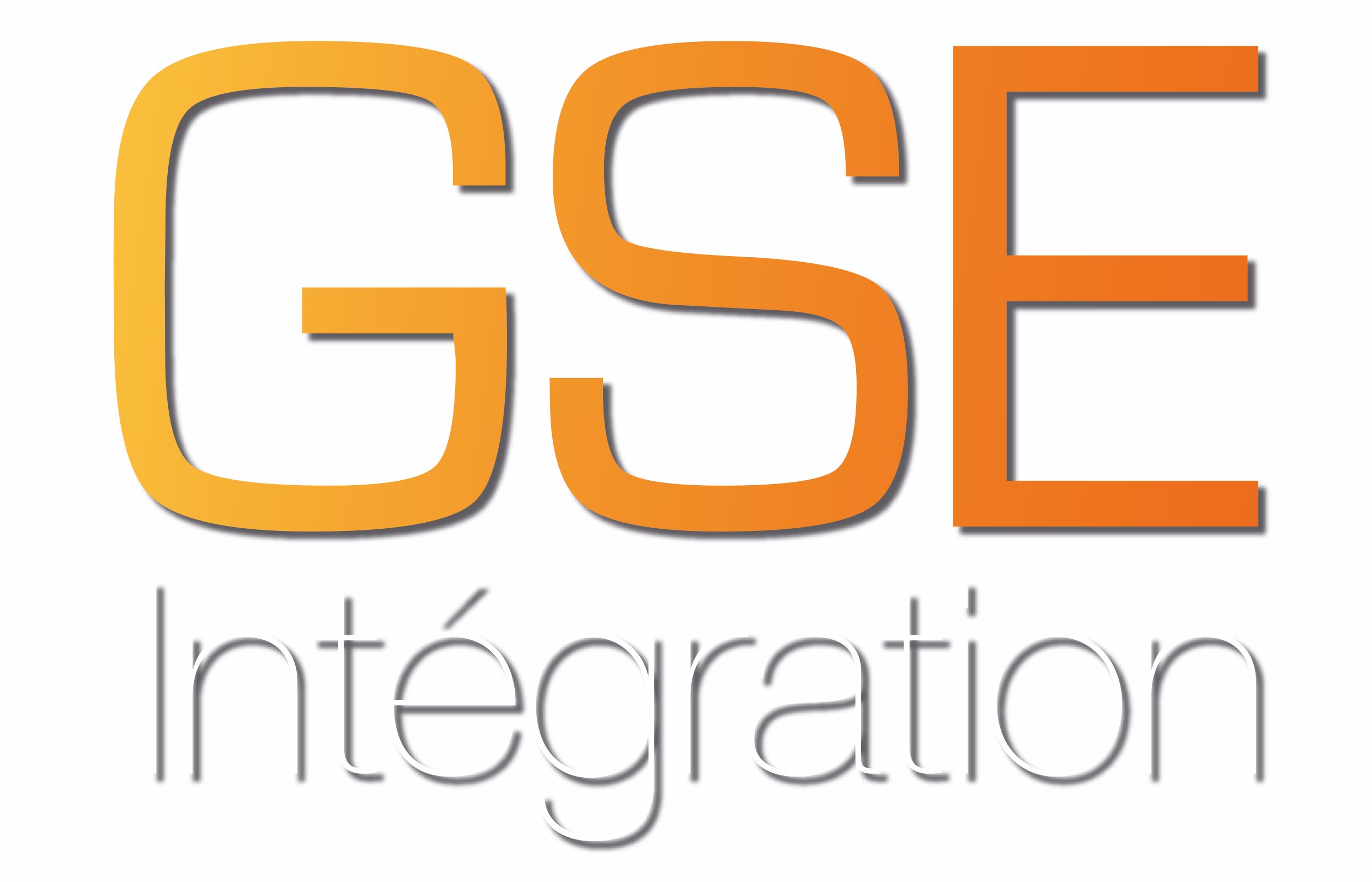 GSE INTEGRATION logo