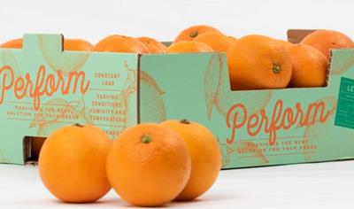 Cover image for Pure Performance 175