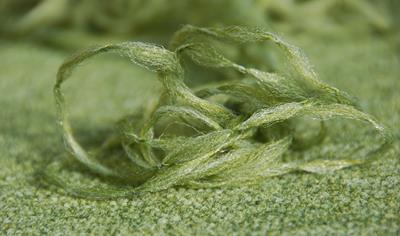 Cover image for EqoCycle recycled content PA6 yarns