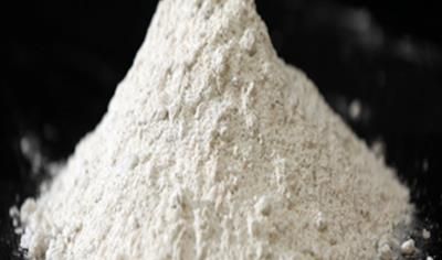 Cover image for Neutral Mortar 