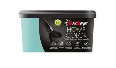 Cover image for Home Color