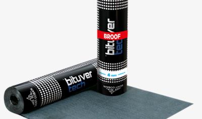 Cover image for Bituver BPP Mineral