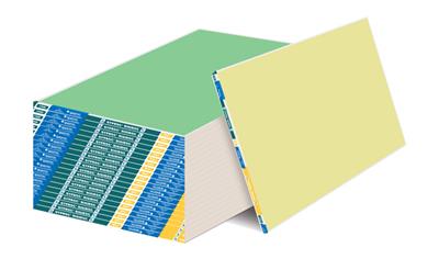 Cover image for GYPROC® Rigiroc™ 13 mm