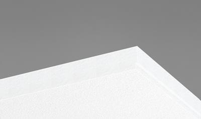 Cover image for Ecophon Focus Ez Carbon Low