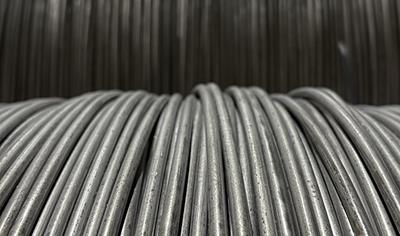 Cover image for Reinforcing Wire