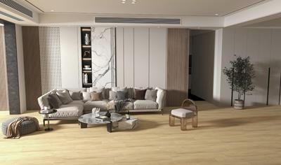 Cover image for SPC FLOORING