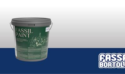 Cover image for FASSIL PAINT