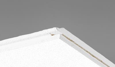 Cover image for Ecophon Focus F Carbon Low