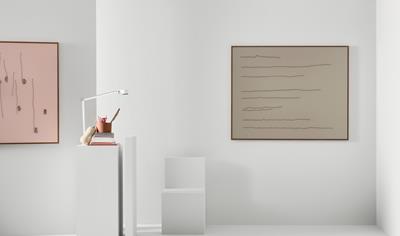 Cover image for AREA_AREA SILK
