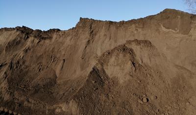 Cover image for Foundry sands 