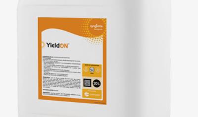 Cover image for Yieldon