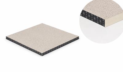 Cover image for Onto/Preto Raised Floor Panel PG-CA