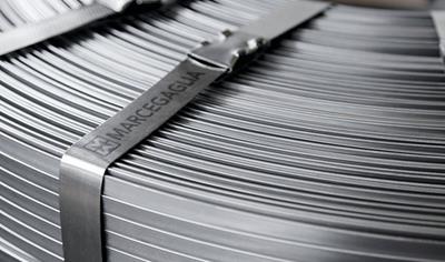 Cover image for STRIPS AND SHEETS IN CARBON STEEL