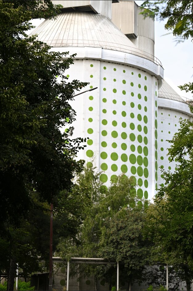 Picture5.jpg