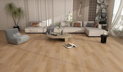 Cover image for SPC Flooring and Wall Panel 