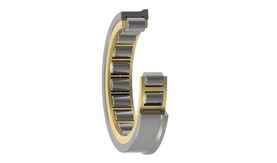 Cover image for Cylindrical Roller Bearing:  TS2NU2236