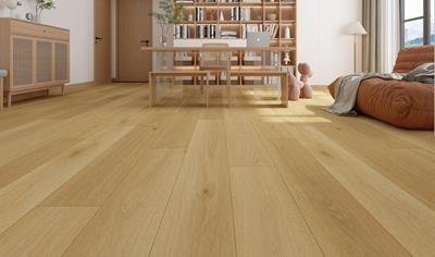 Cover image for Vinyl Flooring (LVT) 