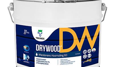 Cover image for DRYWOOD MESTERENS HUSMALING 20