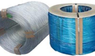 Cover image for Galvanized Steel Wire