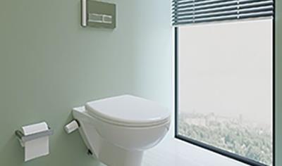 Cover image for Sanipure Seat & Cover