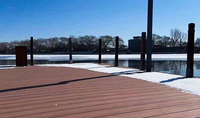 Cover image for Wood Plastic Composite (WPC)