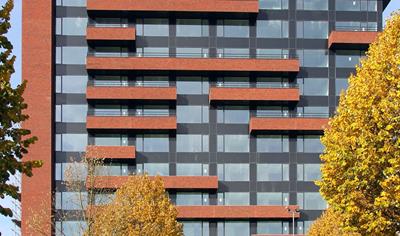 Cover image for Pilkington Insulight™ Triple 4/12/4/12/4 triple IGU with 2 x Offline Coated Glass