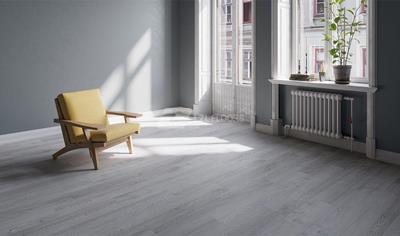 Cover image for Resilience Floor (SPC 5mm)