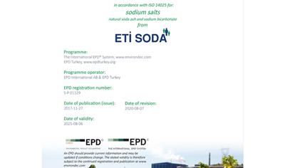 Cover image for Sodium salts - Sodium Carbonate and Sodium Bicarbonate