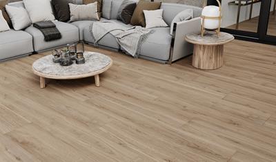 Cover image for Porcelain Stoneware Tiles BIa