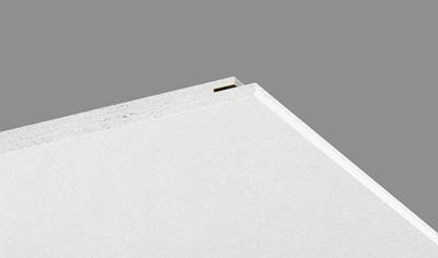 Cover image for Ecophon Opta D/A Carbon Low