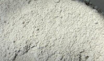 Cover image for Calcaria Plus® E, Calcaria Plus® K