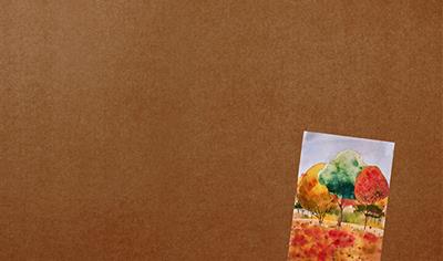 Cover image for EchoFlex