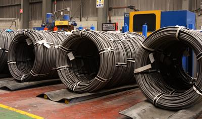 Cover image for High carbon wire, cold heading wire and wire derivatives