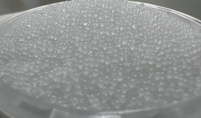 Cover image for Biobased Expandable Polystyrene Beads