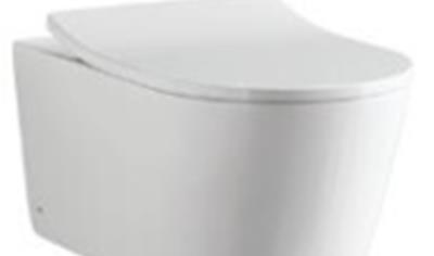 Cover image for Wall-hung Toilet