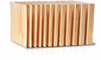 Cover image for PLYWOOD