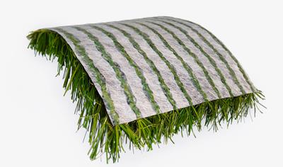 Cover image for ECG Synthetic Turf