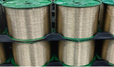 Cover image for Steel Cord
