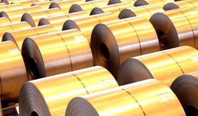 Cover image for Hot Dip Coated Steel with pure zinc coating