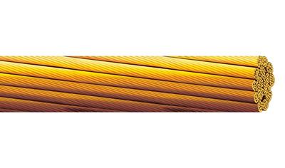 Cover image for Copper conductors