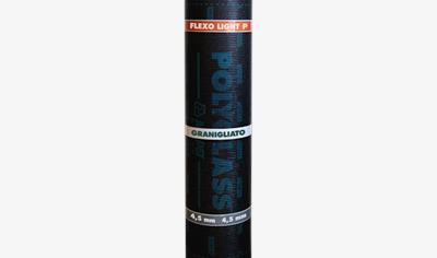 Cover image for Flexo Light P
