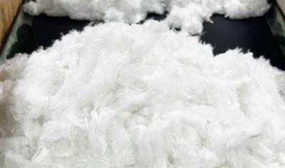Cover image for Polypropylene Staple Fiber