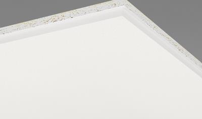 Cover image for Ecophon Master Rigid E Carbon Low