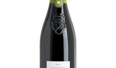 Cover image for IUS NATURAE Valdobbiadene Docg Prosecco Superiore Brut Millesimato from Bortolomiol S.p.A.