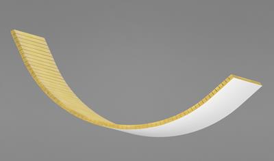 Cover image for Ecophon Focus Flexiform Carbon Low