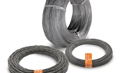 Cover image for Annealed wire and nails