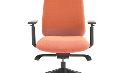 Cover image for Aloha Active Seating (EMEA)