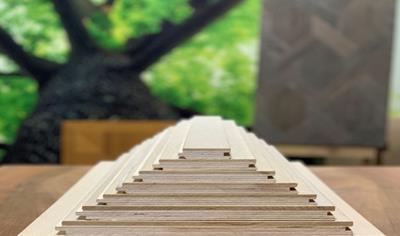 Cover image for WOODlife multiplank wood flooring (parquet)